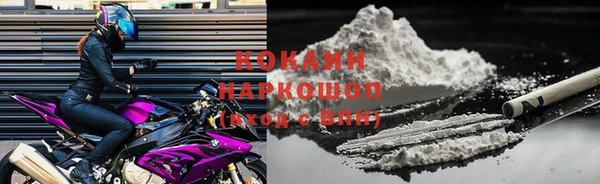 стафф Инта
