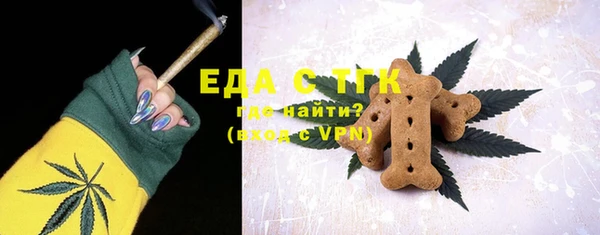 хмурый Аркадак