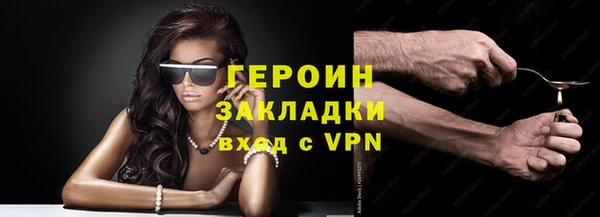 хмурый Аркадак