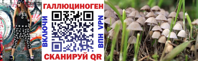 Псилоцибиновые грибы Cubensis  наркота  Сердобск 