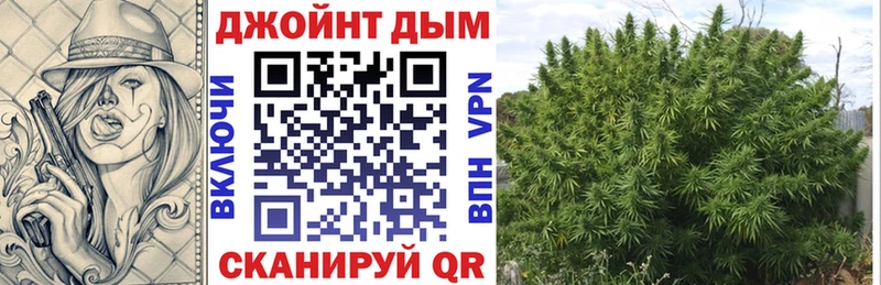 Конопля сатива  как найти закладки  Сердобск 